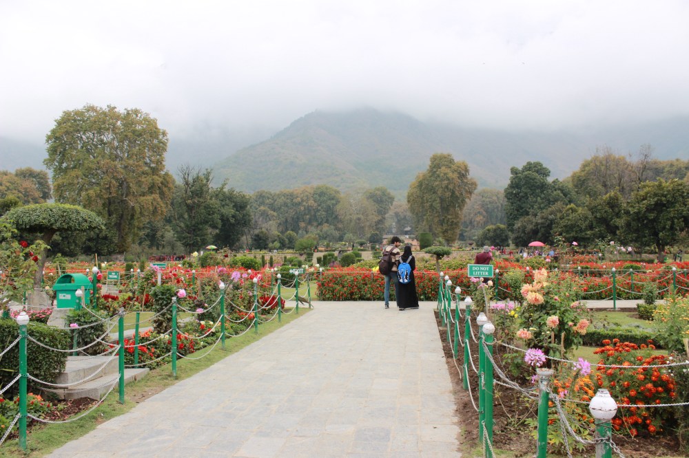 a lovely view indeed